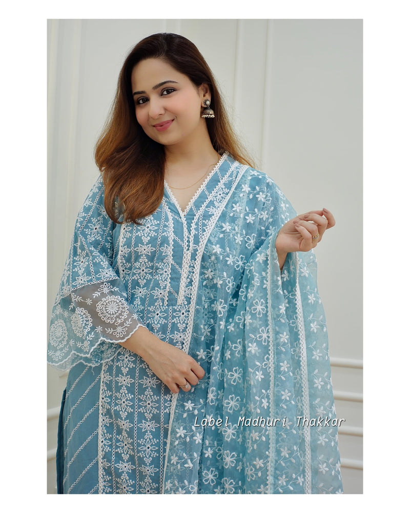 Blue Schiffli Pakistani Suit