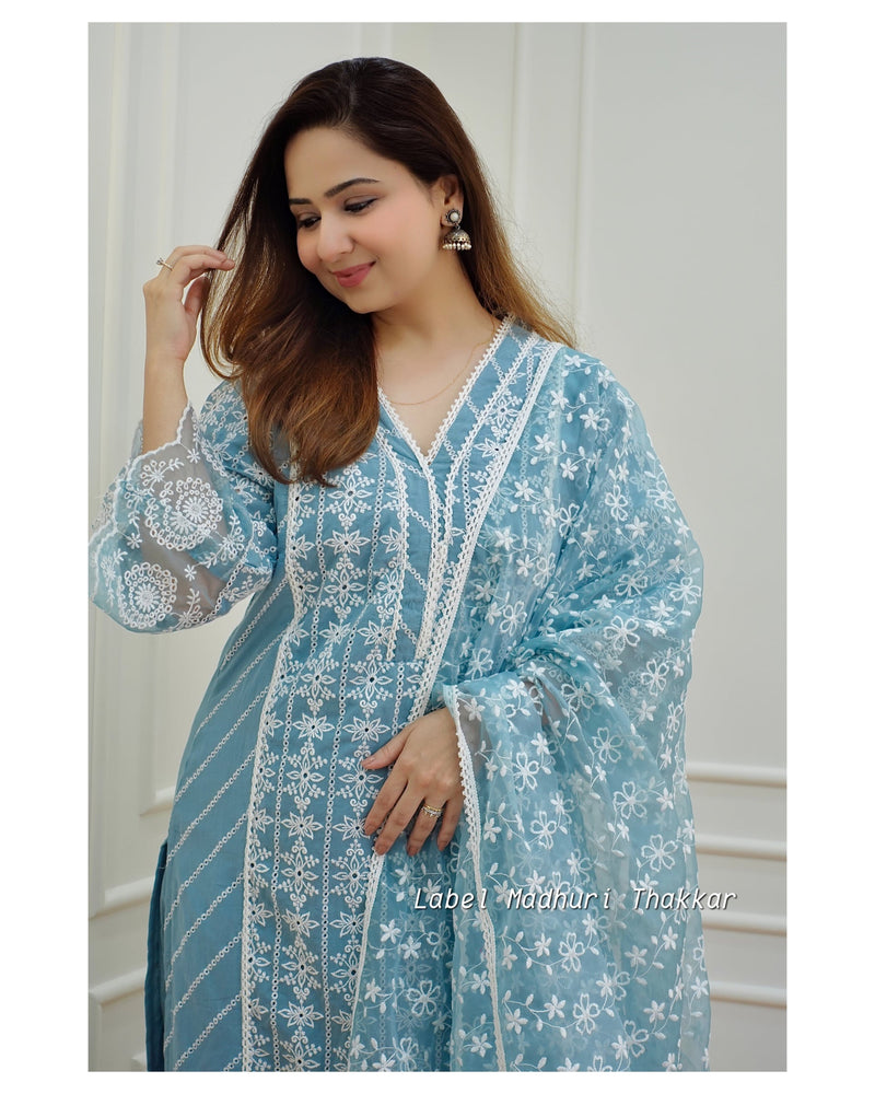 Blue Schiffli Pakistani Suit