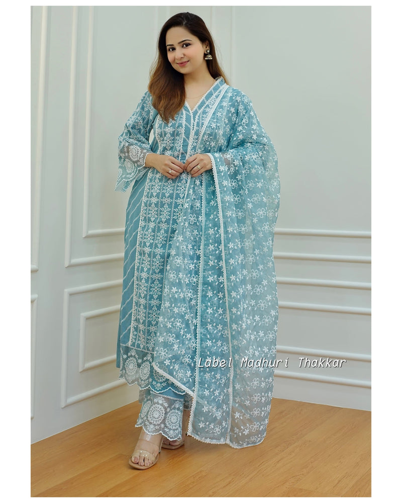 Blue Schiffli Pakistani Suit