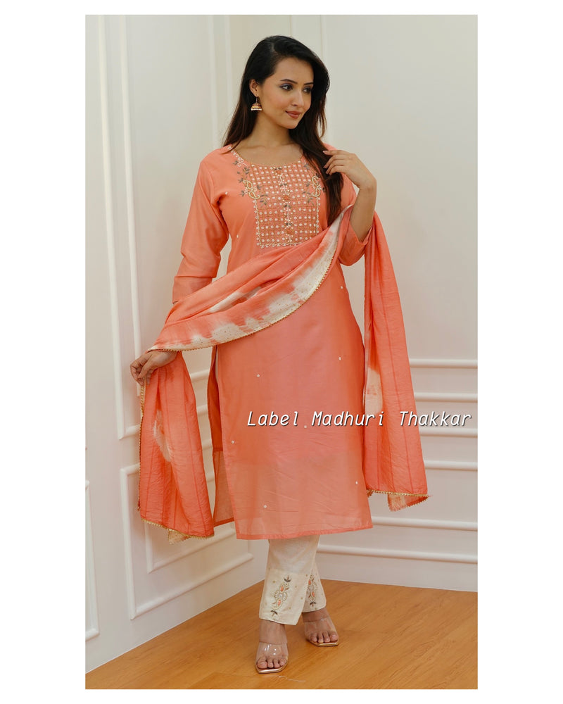 Peach Handwork Suit