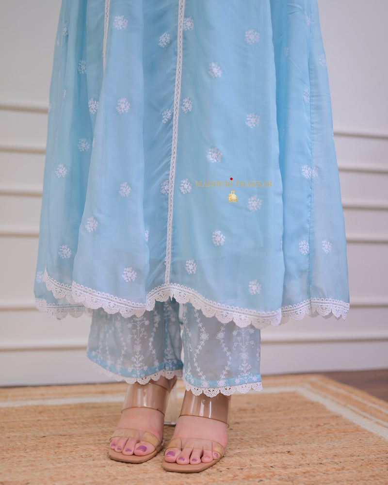 Powder Blue Pearlwork Organza Anarkali