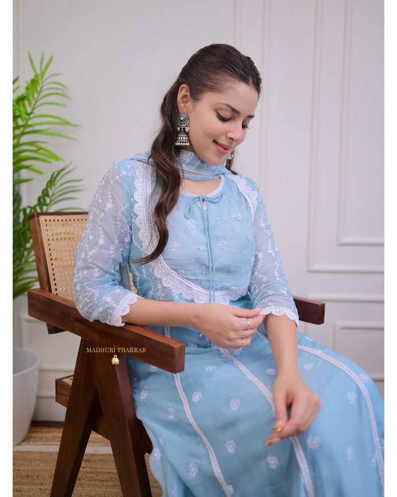 Powder Blue Pearlwork Organza Anarkali