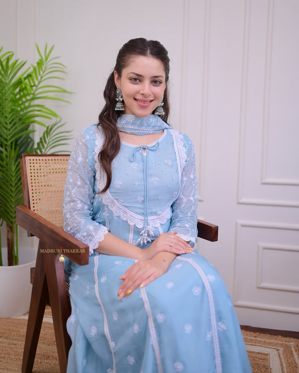 Powder Blue Pearlwork Organza Anarkali