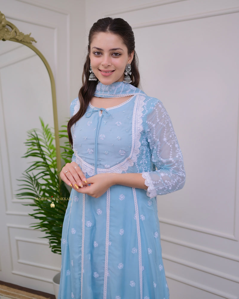 Powder Blue Pearlwork Organza Anarkali