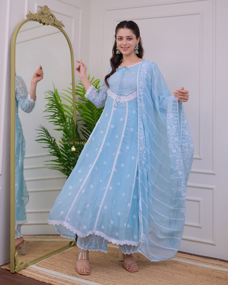 Powder Blue Pearlwork Organza Anarkali