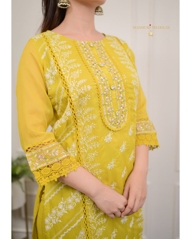 Yellow Threadwork Organza Suit