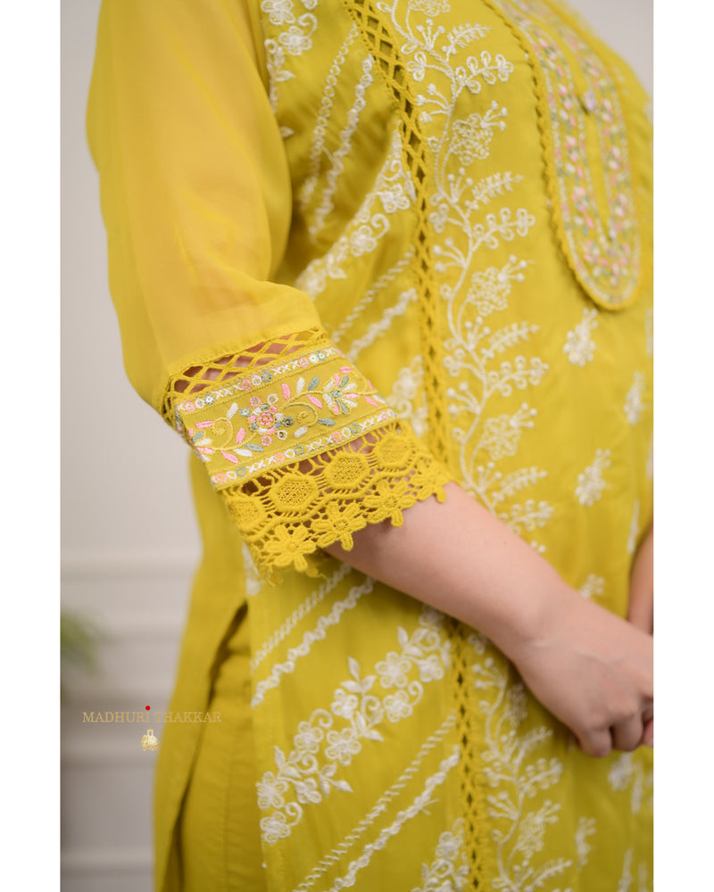 Yellow Threadwork Organza Suit