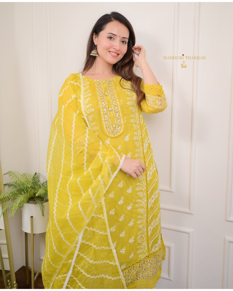 Yellow Threadwork Organza Suit