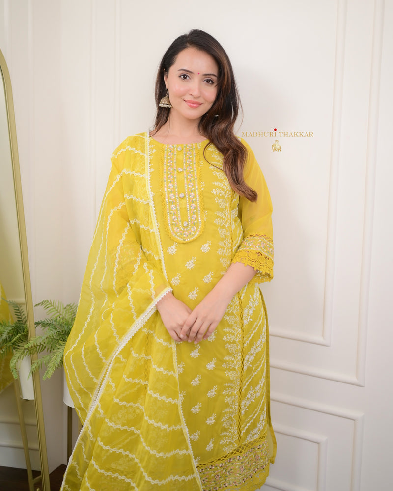 Yellow Threadwork Organza Suit