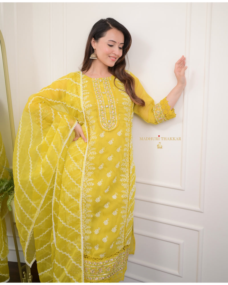 Yellow Threadwork Organza Suit