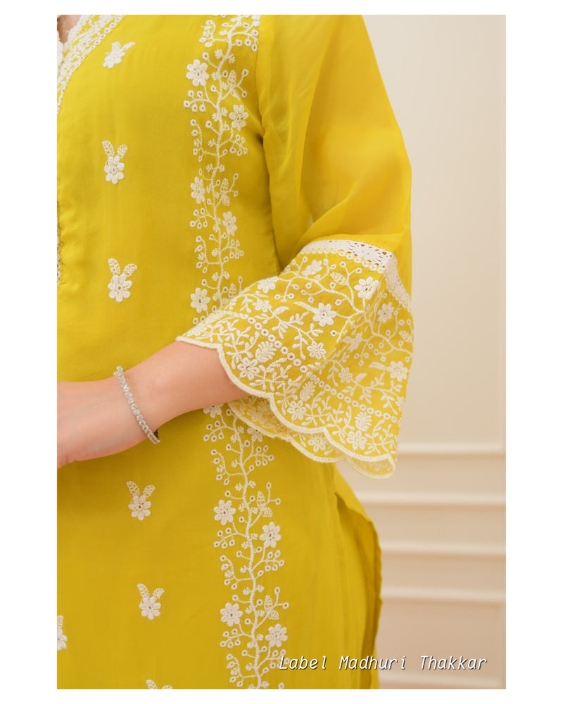 Yellow Schiffli Pakistani Suit